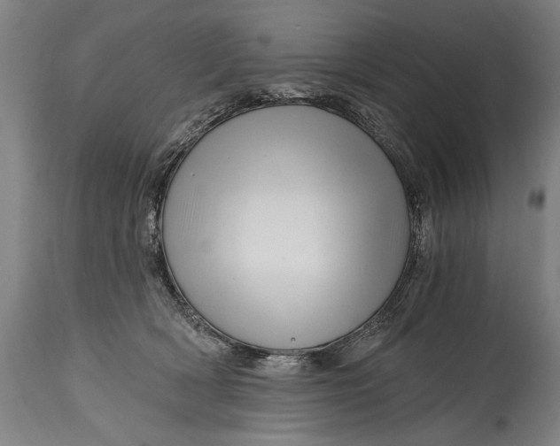 X0000114400418200911061542