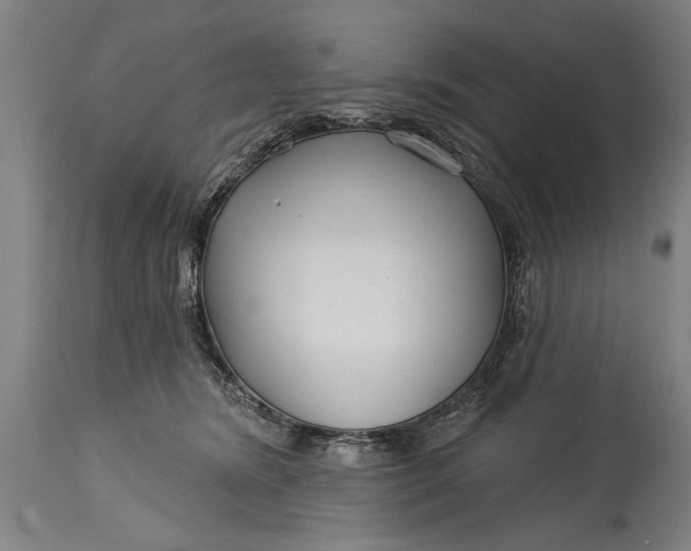 X0000114400420200911061542