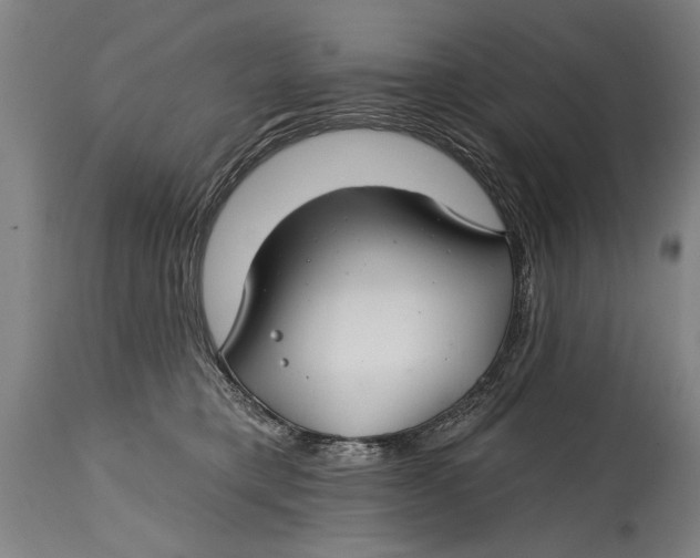 X0000114400421200911061542