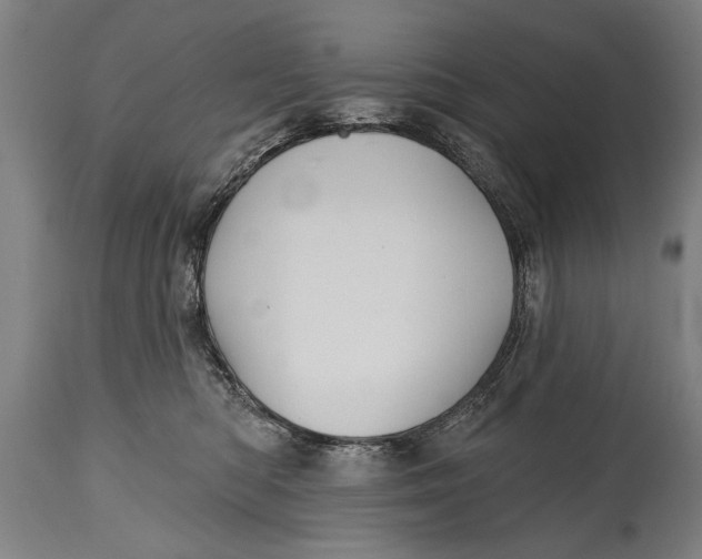 X0000114400422200911061542