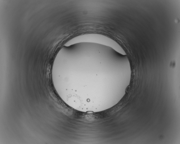 X0000114400423200911061542