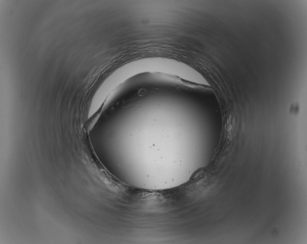 X0000114400424200911061542