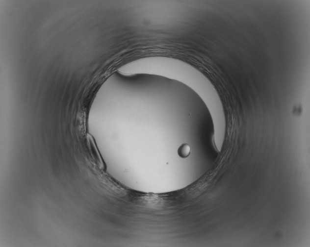 X0000114400425200911061542