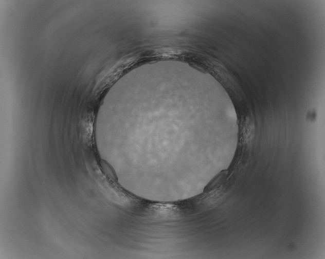 X0000114400427200911061542