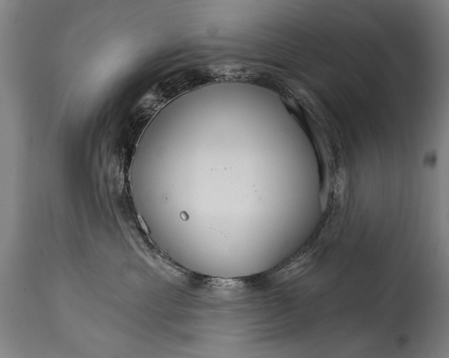 X0000114400429200911061542