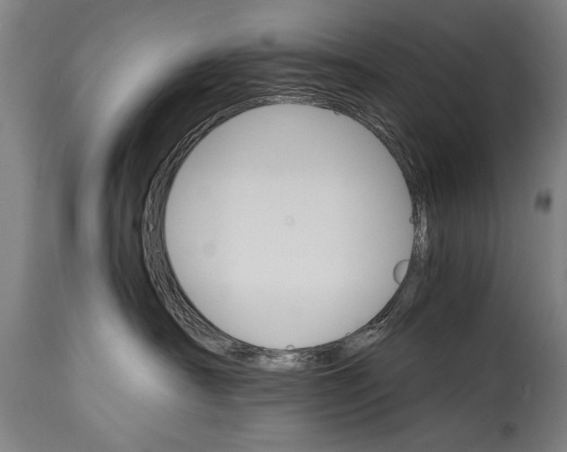 X0000114400430200911061542