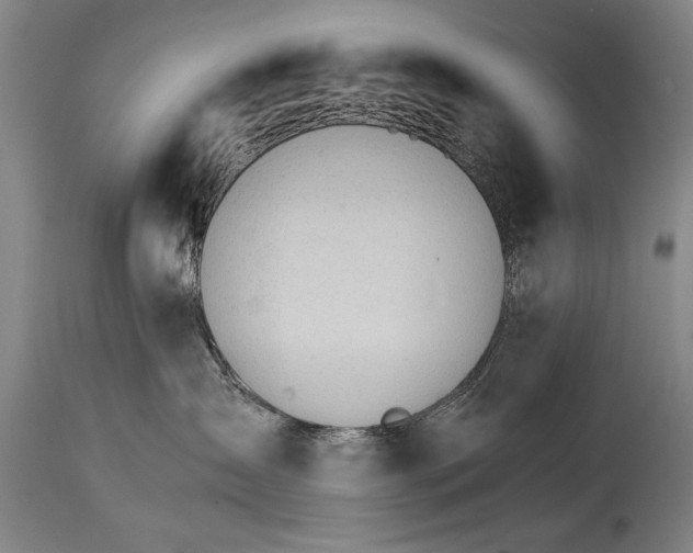 X0000114400431200911061542