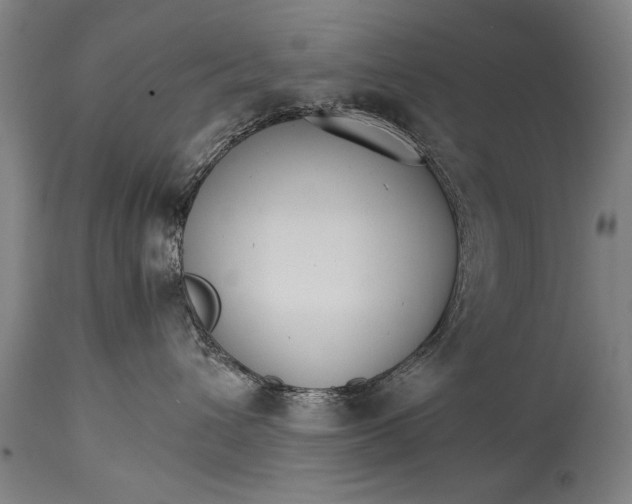 X0000114400432200911061542