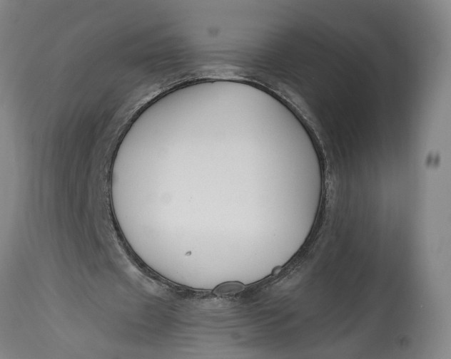 X0000114400433200911061541