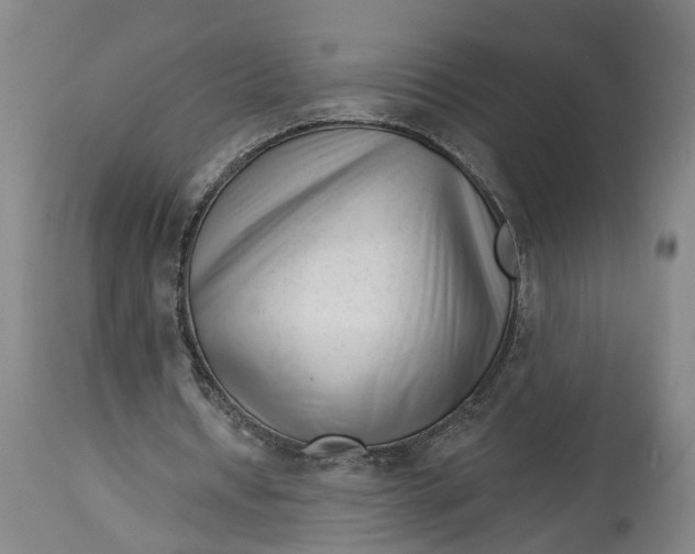 X0000114400434200911061541