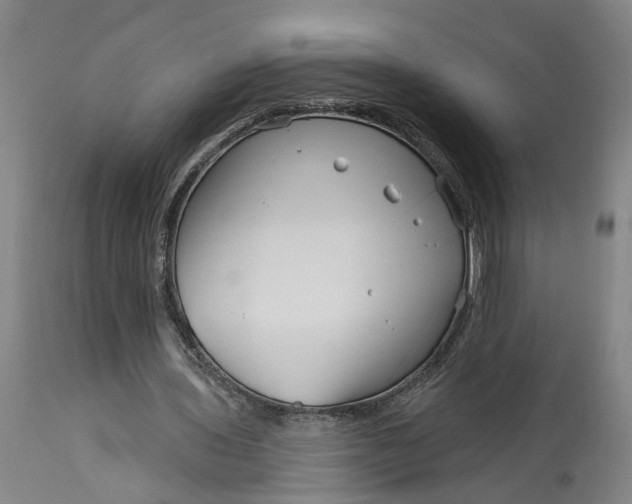 X0000114400435200911061541