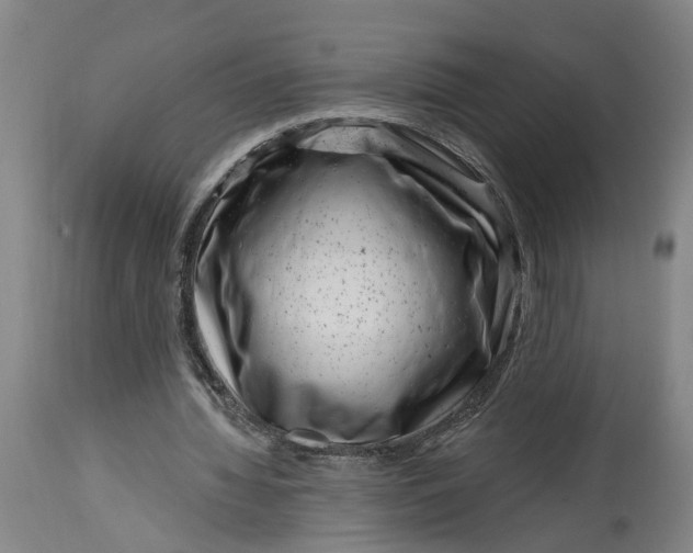 X0000114400436200911061541