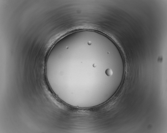 X0000114400437200911061541