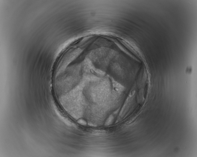 X0000114400438200911061541