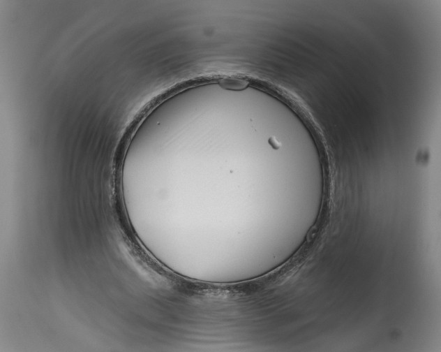 X0000114400439200911061541