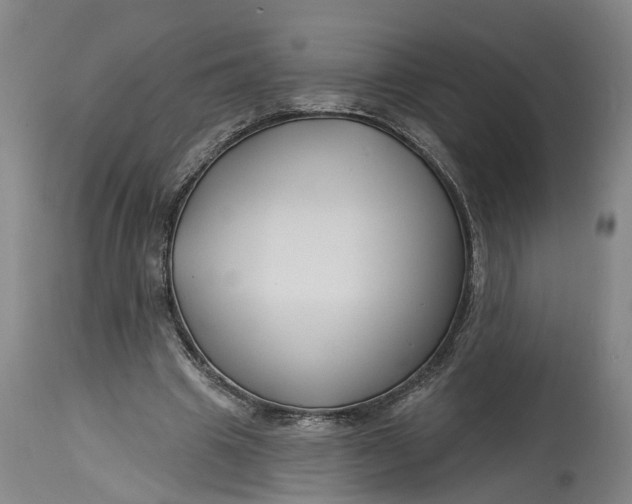 X0000114400441200911061541