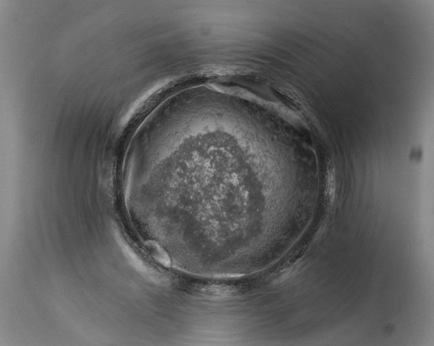 X0000114400444200911061541