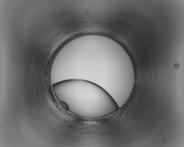 X0000114400448200911061541