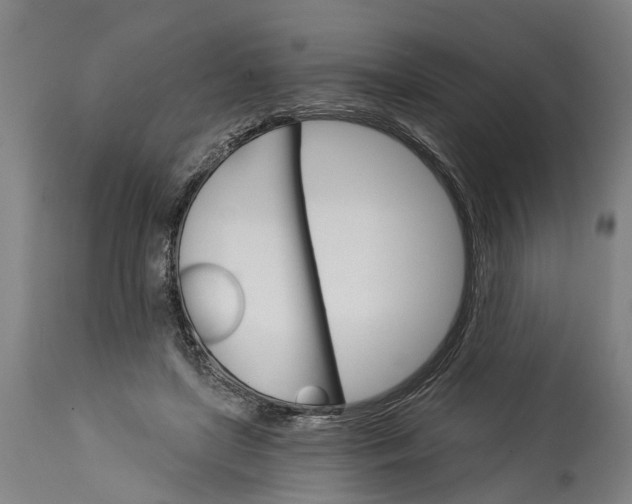 X0000114400451200911061541