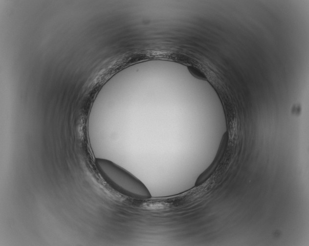 X0000114400452200911061541