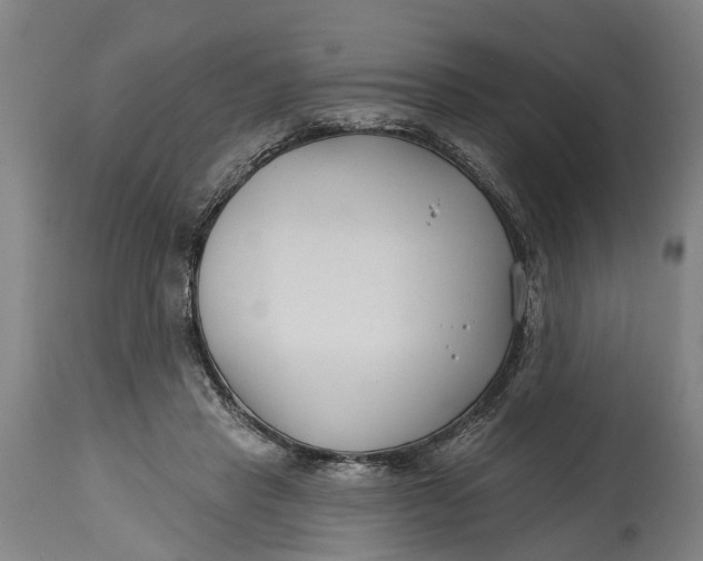 X0000114400453200911061541