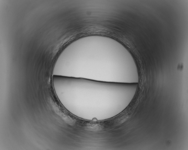 X0000114400454200911061541