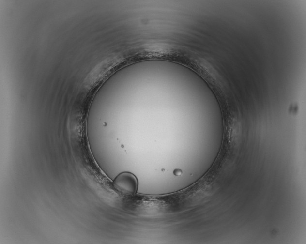 X0000114400455200911061541