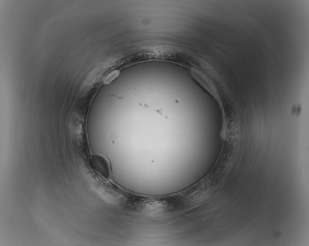 X0000114400456200911061541