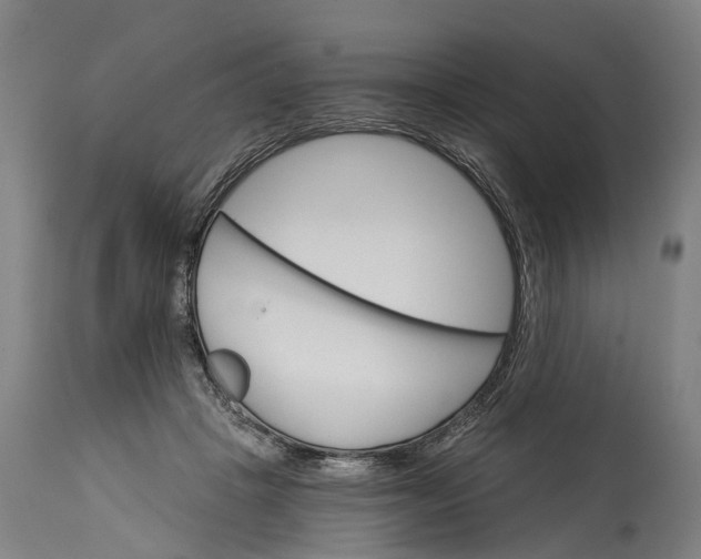 X0000114400457200911061541