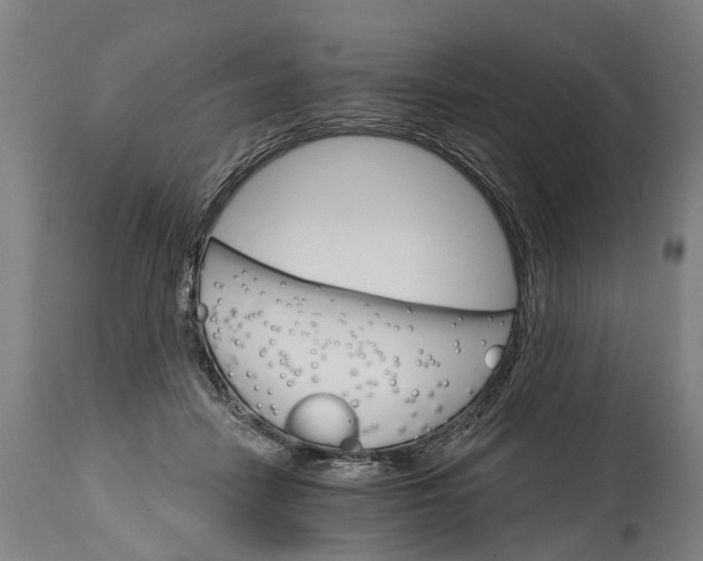 X0000114400458200911061541