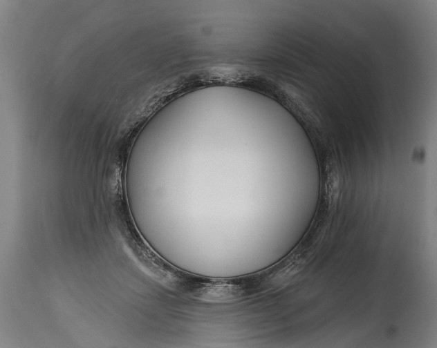 X0000114400459200911061541