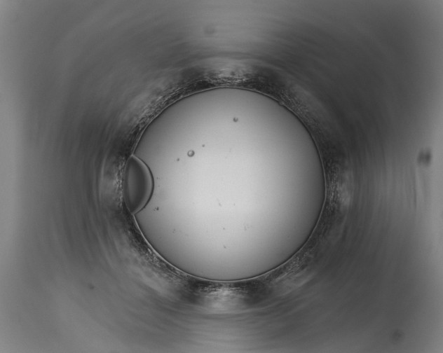 X0000114400460200911061541