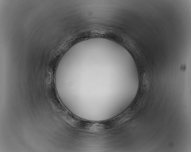 X0000114400463200911061541