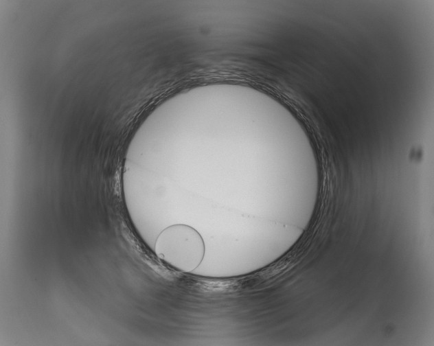 X0000114400465200911061541