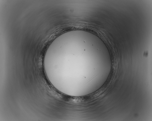 X0000114400466200911061541