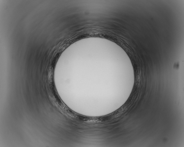 X0000114400468200911061541