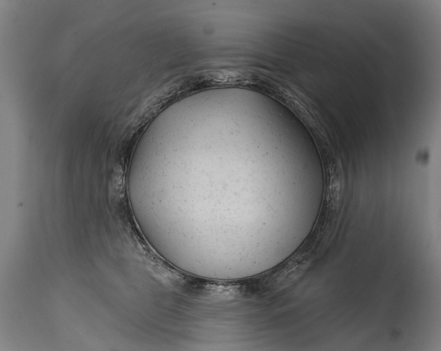 X0000114400469200911061541