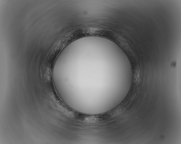 X0000114400470200911061542