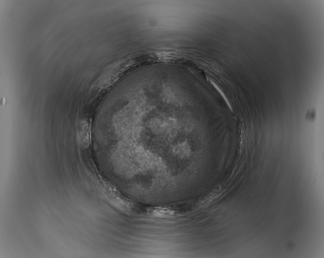 X0000114400471200911061542