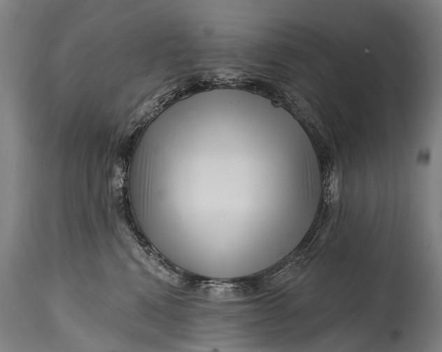 X0000114400472200911061542