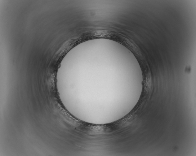 X0000114400473200911061542