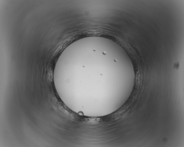 X0000114400474200911061542