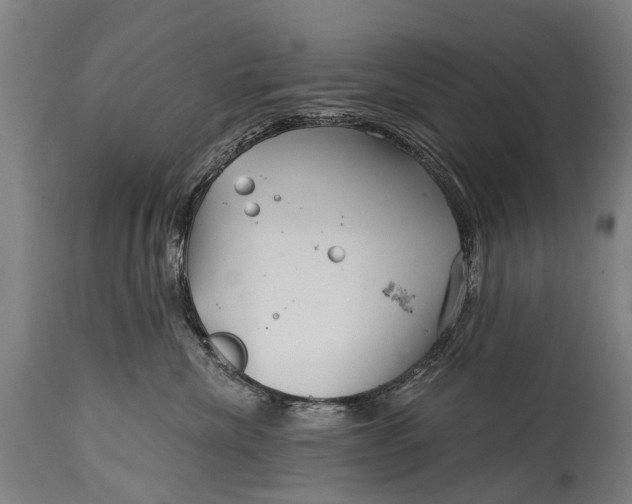 X0000114400476200911061542