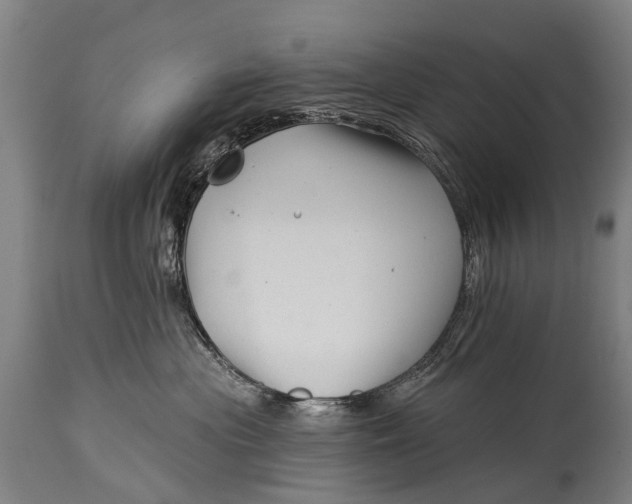 X0000114400477200911061542