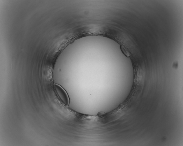 X0000114400478200911061542