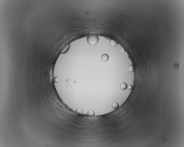 X0000114400479200911061542