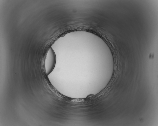 X0000114400480200911061542