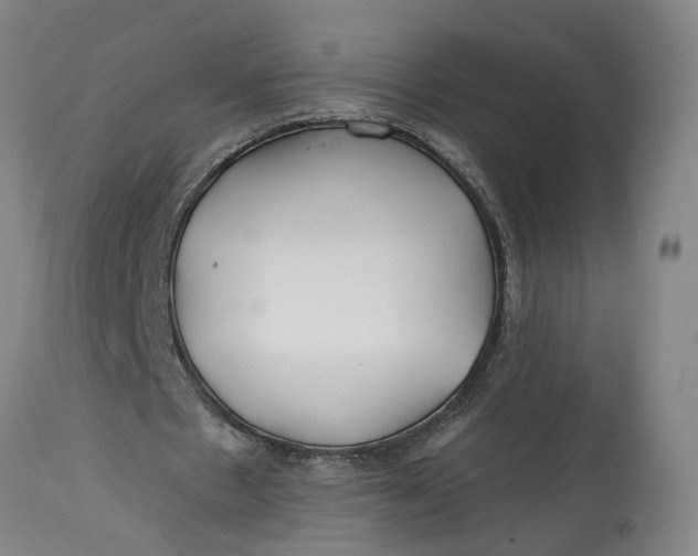 X0000114400481200911061541