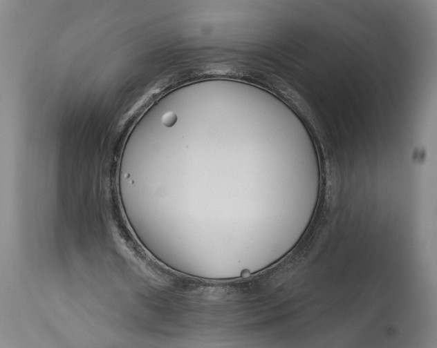 X0000114400482200911061541