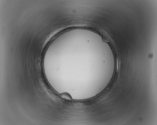 X0000114400483200911061541